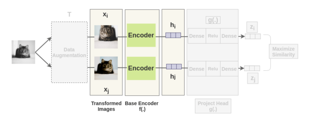 SSL_encoder