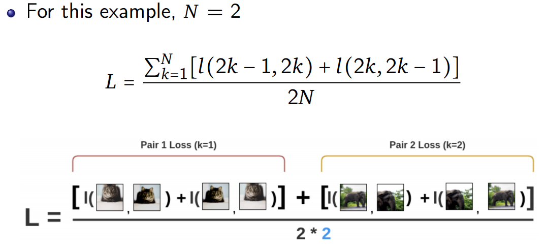 SSL_loss_example